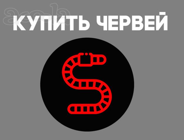 Червь старатель для улучшения плодородия почвы Майкоп или Краснодарский Край